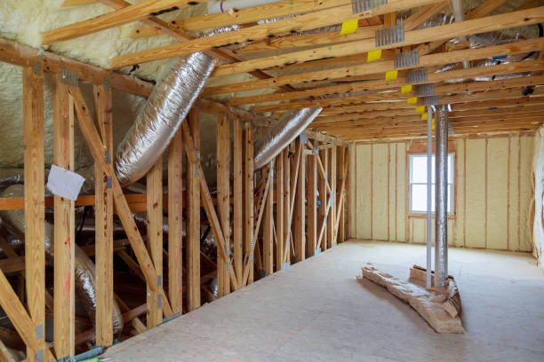 Best Insulation Removal  in Forest Oaks, NC