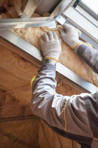Best Insulation Contractors for Homes  in Forest Oaks, NC