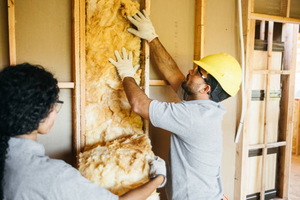 Best Home Insulation Services  in Forest Oaks, NC