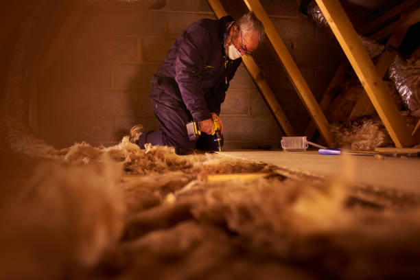 Best Insulation Contractors for Homes  in Forest Oaks, NC