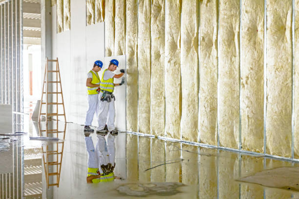 Best Commercial Insulation Contractor  in Forest Oaks, NC